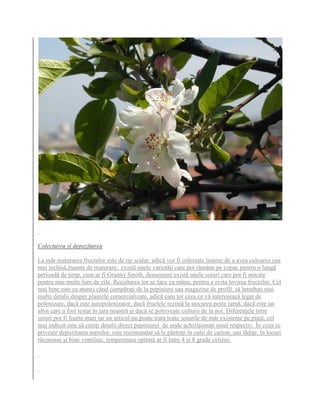 Boli tratamente la mar | PDF