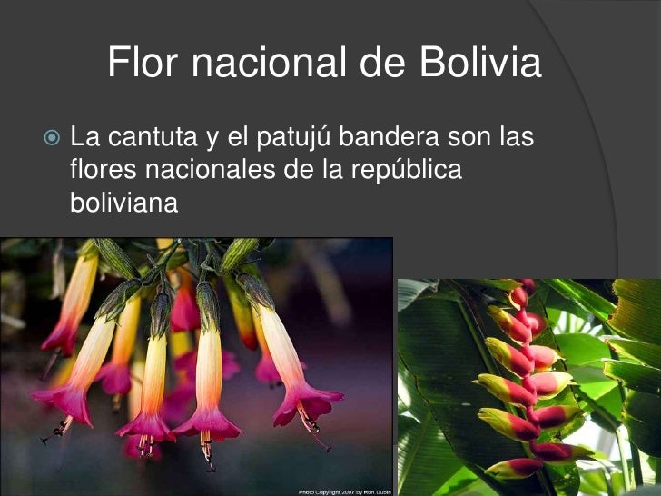 Bolivia