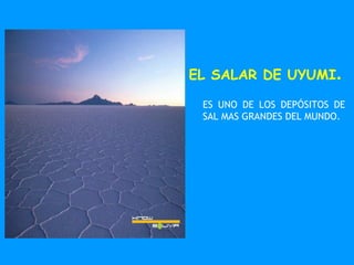 EL SALAR DE UYUMI . ES UNO DE LOS DEPÓSITOS DE SAL MAS GRANDES DEL MUNDO. 