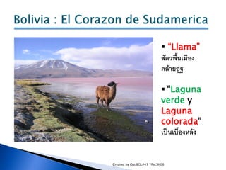  “Llama”
                            สัตวพื้นเมือง
                            คล้ายอูฐ

                             “L...