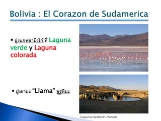  ฝูงนกฟลามิงโก้ ที่ Laguna
verde y Laguna
colorada




 ฝูงยามะ “Llama” อูฐหิมะ


                              Created ...