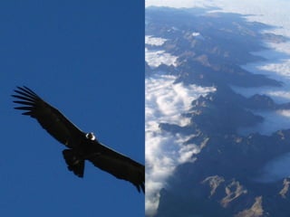 Created by Oat BOL#45 YPscSH06
 