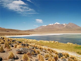 Created by Oat BOL#45 YPscSH06
 