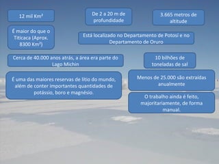 12 mil Km² 3.665 metros de altitude De 2 a 20 m de profundidade É maior do que o Titicaca (Aprox. 8300 Km²) Está localizado no Departamento de Potosí e no Departamento de Oruro Cerca de 40.000 anos atrás, a área era parte do Lago Michin 10 bilhões de toneladas de sal Menos de 25.000 são extraídas anualmente É uma das maiores reservas de lítio do mundo, além de conter importantes quantidades de potássio, boro e magnésio. O trabalho ainda é feito, majoritariamente, de forma manual. 