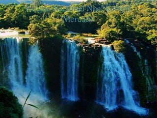 Parque Nacional Noel Kempff
Mercado
 