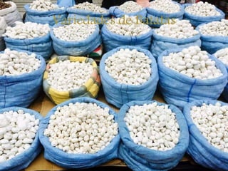 Variedades de Batatas
 