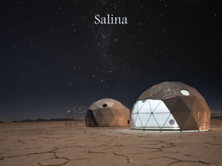 Salina
 