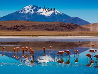 Água
 