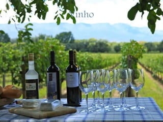 Vinho
 