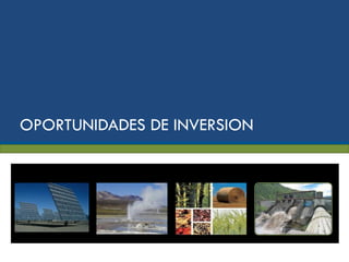 OPORTUNIDADES DE INVERSION




                             9
 