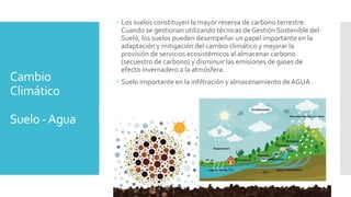 Cambio
Climático
Suelo -Agua
 Los suelos constituyen la mayor reserva de carbono terrestre.
Cuando se gestionan utilizando técnicas de Gestión Sostenible del
Suelo, los suelos pueden desempeñar un papel importante en la
adaptación y mitigación del cambio climático y mejorar la
provisión de servicios ecosistémicos al almacenar carbono
(secuestro de carbono) y disminuir las emisiones de gases de
efecto invernadero a la atmósfera.
 Suelo importante en la infiltración y almacenamiento de AGUA
 