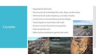 Causales
 Degradación del Suelo.
 Disminución de la fertilidad del suelo. Bajos rendimientos.
 Información de suelos dispersa y a escalas variadas.
 Limitaciones en la transferencia de tecnología.
 Vacíos legales en la temática del suelo
 Escasa inversión financiera en proyectos
 Falta de planificación.
 Débil institucionalidad en gestión del suelo.
Erosión eólica Erosión hídricaContaminación por minería
Pérdida de fertilidad
 
