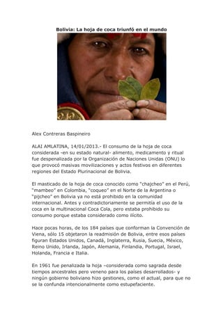 Bolivia: La hoja de coca triunfó en el mundo




Alex Contreras Baspineiro

ALAI AMLATINA, 14/01/2013.- El consumo de la hoja de coca
considerada -en su estado natural- alimento, medicamento y ritual
fue despenalizada por la Organización de Naciones Unidas (ONU) lo
que provocó masivas movilizaciones y actos festivos en diferentes
regiones del Estado Plurinacional de Bolivia.

El masticado de la hoja de coca conocido como “chajcheo” en el Perú,
“mambeo” en Colombia, “coqueo” en el Norte de la Argentina o
“pijcheo” en Bolivia ya no está prohibido en la comunidad
internacional. Antes y contradictoriamente se permitía el uso de la
coca en la multinacional Coca Cola, pero estaba prohibido su
consumo porque estaba considerado como ilícito.

Hace pocas horas, de los 184 países que conforman la Convención de
Viena, sólo 15 objetaron la readmisión de Bolivia, entre esos países
figuran Estados Unidos, Canadá, Inglaterra, Rusia, Suecia, México,
Reino Unido, Irlanda, Japón, Alemania, Finlandia, Portugal, Israel,
Holanda, Francia e Italia.

En 1961 fue penalizada la hoja –considerada como sagrada desde
tiempos ancestrales pero veneno para los países desarrollados- y
ningún gobierno boliviano hizo gestiones, como el actual, para que no
se la confunda intencionalmente como estupefaciente.
 