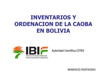 INVENTARIOS Y
ORDENACION DE LA CAOBA
EN BOLIVIA
Autoridad Científica CITES
BONIFACIO MOSTACEDO
 