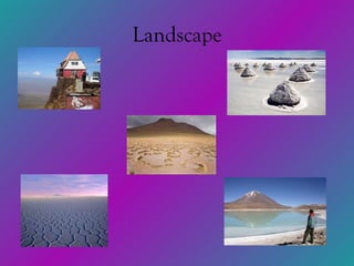 Landscape 