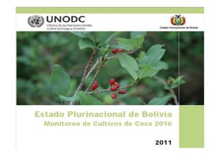 Estado Plurinacional de
                                  Bolivia




Cultivo de hoja de coca
 en Bolivia Año 2010




                                                    1
 