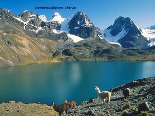 Montañas Altiplano - Bolivia 