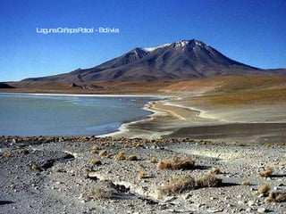 Laguna Cañapa Potosí - Bolivia 