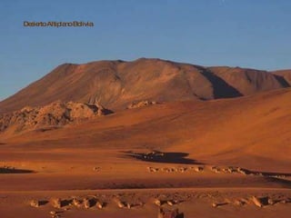 Desierto Altiplano Bolivia 