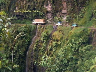 Los Yungas La Paz - Bolivia 