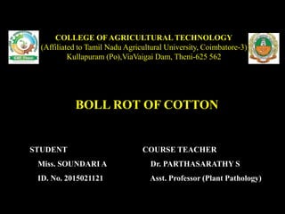 BOLL ROT OF COTTON
COLLEGE OF AGRICULTURAL TECHNOLOGY
(Affiliated to Tamil Nadu Agricultural University, Coimbatore-3)
Kullapuram (Po),ViaVaigai Dam, Theni-625 562
STUDENT
Miss. SOUNDARI A
ID. No. 2015021121
COURSE TEACHER
Dr. PARTHASARATHY S
Asst. Professor (Plant Pathology)
 