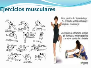 Ejercicios musculares
 