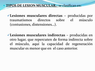  TIPOS DE LESION MUSCULAR.- se clasifican en:
Lesiones musculares directas – producidas por
traumatismos directos sobre el mùsculo
(contusiones, distensiones…).
Lesiones musculares indirectas – producidas en
otro lugar, que repercuten de forma indirecta sobre
el mùsculo, aquí la capacidad de regeneración
muscular es menor que en el caso anterior.
 
