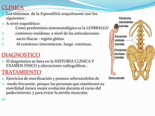 CLINICA
 Los síntomas de la Espondilitis anquilosante son los
siguientes:
 A nivel esquelético:
Como predominio sintomatológico es la LUMBALGIA.
 comienzo insidioso, a nivel de las articulaciones
 sacro ilíacas - región glútea.
 Al comienzo intermitente, luego continuo.
DIAGNOSTICO
 El diagnóstico se basa en la HISTORIA CLINICA Y
EXAMEN FISICO y alteraciones radiográficas .
TRATAMIENTO
 Ejercicios de movilización y postura reforzándolos de
 modo frecuente, porque las personas que mantienen su
movilidad tienen mejor evolución durante el curso del
padecimiento, y para evitar la atrofia muscular.

 