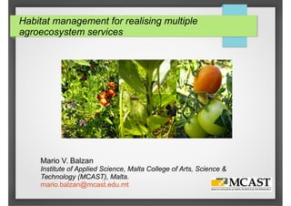 Habitat management for realising multiple
agroecosystem services
Mario V. Balzan
Institute of Applied Science, Malta College of Arts, Science &
Technology (MCAST), Malta.
mario.balzan@mcast.edu.mt
 