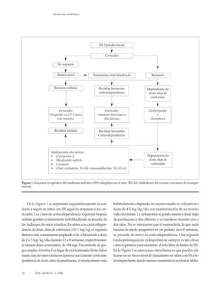 Síndrome nefrótico




                                                           SN Episodio inicial


                                                                Corticoides

                          No remision


                          Biopsia renal               Tratamiento individualizado                  Remisión


                        Recaidas asiladas                 Recaídas frecuentes                  Dependencia de
                                                          corticodependencia                    dosis altas de
                                                                                                 corticoides



                            Corticoides                        Corticoides                       Ciclofosfamida
                     (Suspender en 2,5-3 meses            (mantener dosis bajas a                       o
                          tras remisión)                      días alternos                       Clorambucil


                        Recaídas aisladas                 Recaídas frecuentes
                                                          Corticodependencia




                      Medicamentos alternativos:
                      • Ciclosporina A                                                         Dependencia de
                      • Micofenolato mofetilo                                                   dosis altas de
                      • Levamisol                                                                corticoides
                      • Otros: azatioprina, Fk-506, inmunoglobulinas, IECAS, etc.



Figura 1. Esquema terapéutico del síndrome nefrótico (SN) idiopático en el niño. IECAS: inhibidores del enzima conversor de la angio-
tensina.




    En la Figura 1 se representa esquemáticamente la con-             habitualmente empleado en nuestro medio es ciclosporina a
ducta a seguir en niños con SN según la respuesta a los cor-          dosis de 4-5 mg/kg/día con monitorización de los niveles
ticoides. Los casos de corticodependencia requieren biopsia,          valle circulantes. La ciclosporina se puede asociar a dosis bajas
análisis genético y tratamiento individualizado en función de         de prednisona a días alternos y se mantiene durante uno o
los hallazgos de estos estudios, En niños con corticodepen-           dos años. No es infrecuente que al suspenderla, lo que suele
dencia de dosis altas de esteroides, 0,5–1 mg/kg, el segundo          hacerse de modo progresivo en un período de 6-8 semanas,
fármaco más comúnmente empleado es la ciclofosfamida a dosis          se presente de nuevo la corticodependencia. Una segunda
de 2 o 3 mg/kg/día durante 12 u 8 semanas, respectivamen-             tanda prolongada de ciclosporina no siempre es tan eficaz
te (misma dosis acumulativa de 168 mg). Una minoría de gru-           como la primera para mantener al niño libre de brotes de SN.
pos emplea clorambucil en lugar de ciclofosfamida. Si tras haber      En la Figura 1 se mencionan otros fármacos que pueden uti-
usado uno de estos fármacos aparece nuevamente corticode-             lizarse en un tercer nivel de tratamiento en niños con SN cór-
pendencia de dosis altas de prednisona, el medicamento más            ticodependiente siendo menos consistente la evidencia biblio-


22       VOL. 46 SUPL. 1, 2006
 