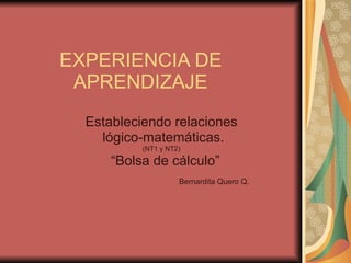 EXPERIENCIA DE APRENDIZAJE Estableciendo relaciones  lógico-matemáticas. (NT1 y NT2) “ Bolsa de cálculo” Bernardita Quero Q. 