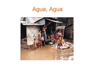 Agua, Agua 