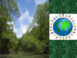 plastic bolsas environment