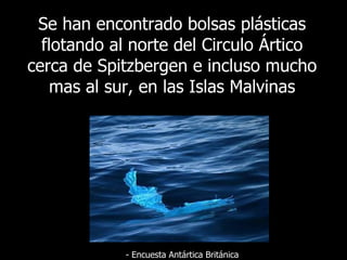 Se  han encontrado bolsas plásticas flotando al norte del Circulo Ártico cerca de Spitzbergen e incluso mucho mas al sur, en las Islas Malvinas -  Encuesta Antártica Británica 