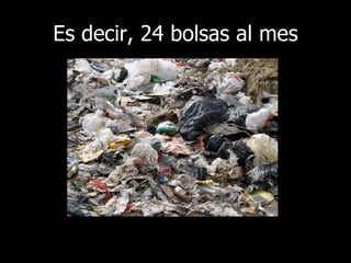 Es decir, 24 bolsas al mes 