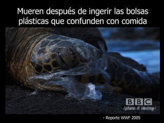 Mueren después de ingerir las bolsas plásticas que confunden con comida -  Reporte  WWF 2005 