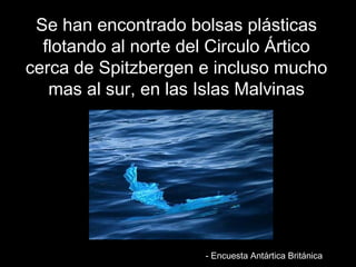 SSee hhaann eennccoonnttrraaddoo bboollssaass pplláássttiiccaass 
fflloottaannddoo aall nnoorrttee ddeell CCiirrccuulloo ÁÁrrttiiccoo 
cceerrccaa ddee SSppiittzzbbeerrggeenn ee iinncclluussoo mmuucchhoo 
mmaass aall ssuurr,, eenn llaass IIssllaass MMaallvviinnaass 
-- EEnnccuueessttaa AAnnttáárrttiiccaa BBrriittáánniiccaa 
 