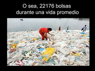 OO sseeaa,, 2222117766 bboollssaass 
dduurraannttee uunnaa vviiddaa pprroommeeddiioo 
 