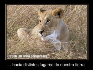 …… hhaacciiaa ddiissttiinn ttooss lluuggaarreess ddee nnuueessttrraa ttiieerrrraa 
 