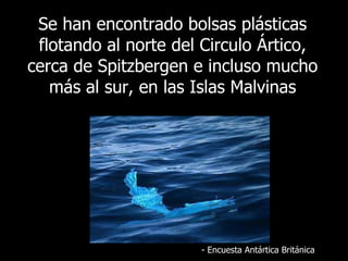 Se  han encontrado bolsas plásticas flotando al norte del Circulo Ártico, cerca de Spitzbergen e incluso mucho más al sur, en las Islas Malvinas -  Encuesta Antártica Británica 