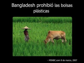Bangladesh prohibió  las bolsas plásticas   - MSNBC.com 8 de  marzo , 2007 