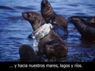 …  y hacia nuestros mares, lagos y ríos. 