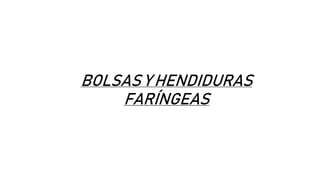 BOLSAS Y HENDIDURAS
FARÍNGEAS
 