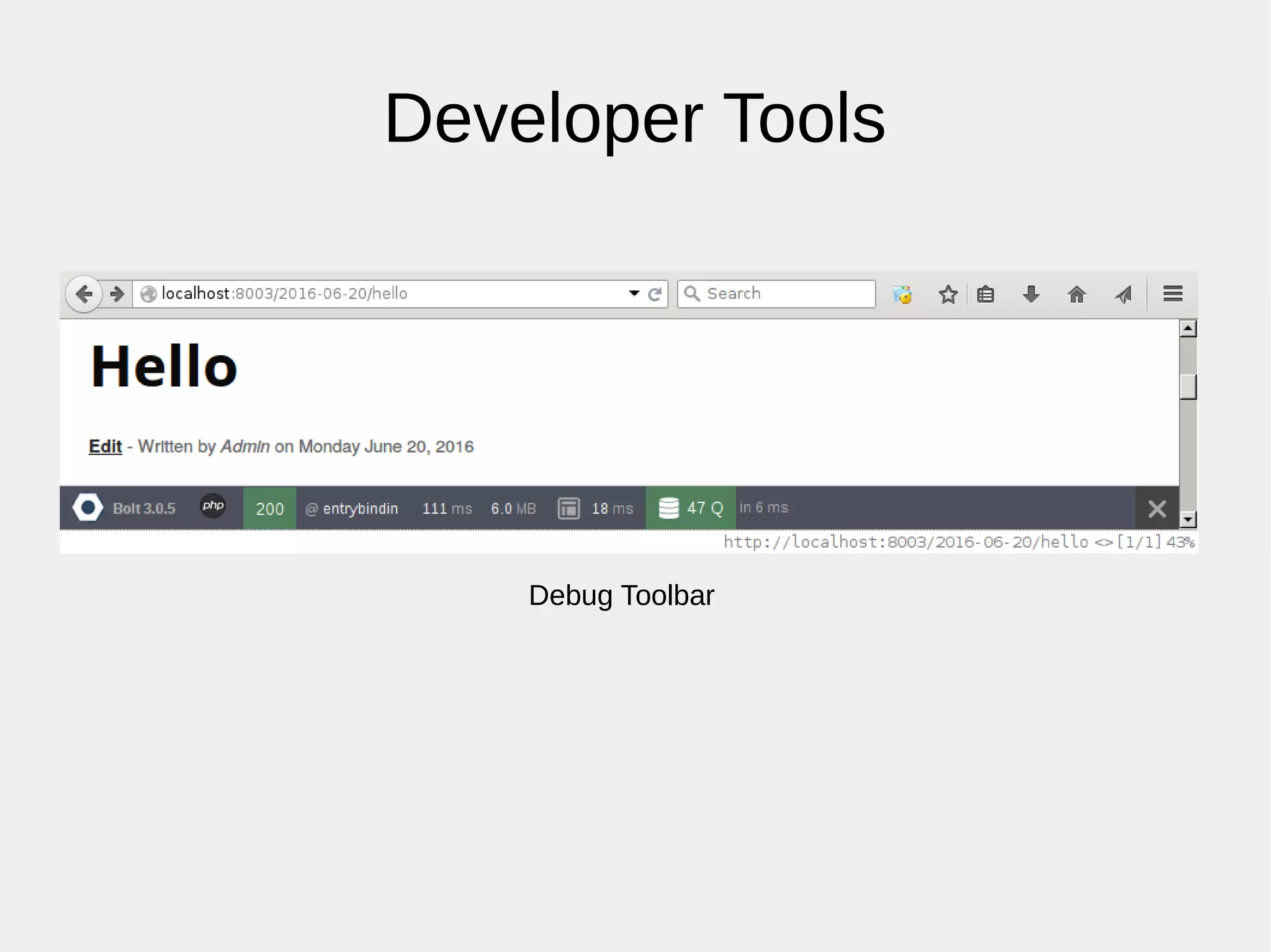 Developer Tools
Debug Toolbar
 