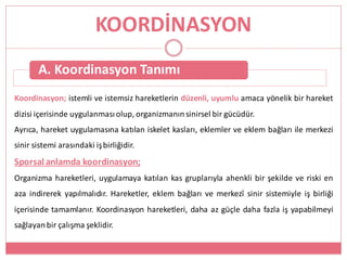 Koordinasyon; istemli ve istemsiz hareketlerin düzenli, uyumlu amaca yönelik bir hareket
dizisi içerisinde uygulanması olup, organizmanın sinirsel bir gücüdür.
Ayrıca, hareket uygulamasına katılan iskelet kasları, eklemler ve eklem bağları ile merkezi
sinir sistemi arasındaki işbirliğidir.
Sporsal anlamda koordinasyon;
Organizma hareketleri, uygulamaya katılan kas gruplarıyla ahenkli bir şekilde ve riski en
aza indirerek yapılmalıdır. Hareketler, eklem bağları ve merkezî sinir sistemiyle iş birliği
içerisinde tamamlanır. Koordinasyon hareketleri, daha az güçle daha fazla iş yapabilmeyi
sağlayanbir çalışma şeklidir.
KOORDİNASYON
A. Koordinasyon Tanımı
 