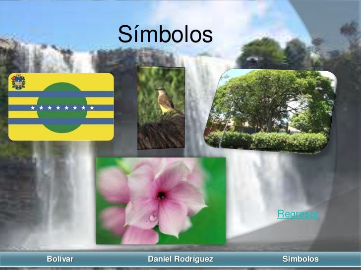 simbolo del estado bolivar estado bolivar simbolo del estado bolivar estado bolivar