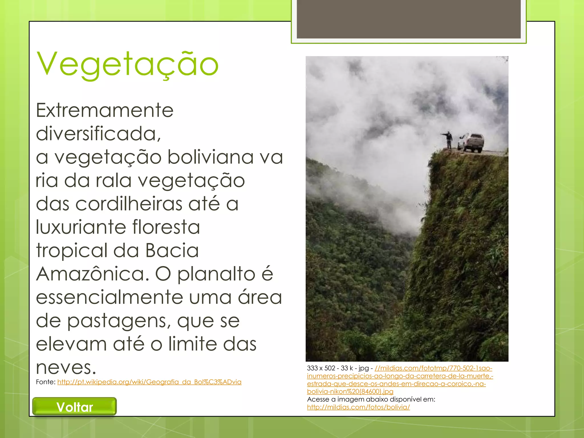 Vegetação
Extremamente
diversificada,
a vegetação boliviana va
ria da rala vegetação
das cordilheiras até a
luxuriante floresta
tropical da Bacia
Amazônica. O planalto é
essencialmente uma área
de pastagens, que se
elevam até o limite das
neves.
Fonte: http://pt.wikipedia.org/wiki/Geografia_da_Bol%C3%ADvia

Voltar

333 x 502 - 33 k - jpg - //mildias.com/fototmp/770-502-1saoinumeros-precipicios-ao-longo-da-carretera-de-la-muerte,estrada-que-desce-os-andes-em-direcao-a-coroico,-nabolivia-nikon%20(84600).jpg
Acesse a imagem abaixo disponível em:
http://mildias.com/fotos/bolivia/

 
