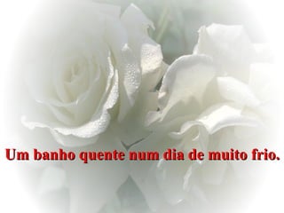 Um banho quente num dia de muito frio.   