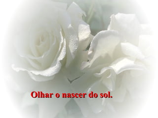 Olhar o nascer do sol.   