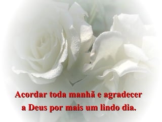 Acordar toda manhã e agradecer  a Deus por mais um lindo dia.   